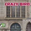 CrazyBirdCity: Üstün Arcade Deneyimi